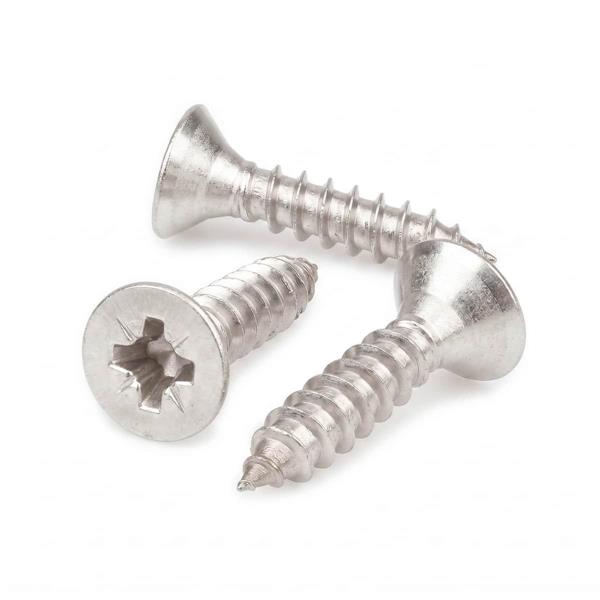 Vite truciolare TSP Inox 6x60 mm