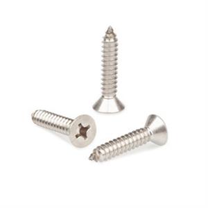 Vite TSP Inox 4.2x16 MM