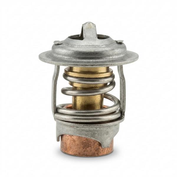 Termostato Ref Mercury 8M117413
