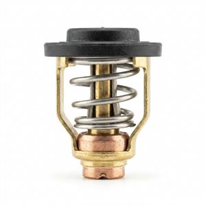 Termostato Ref Yamaha 67F-12411-01