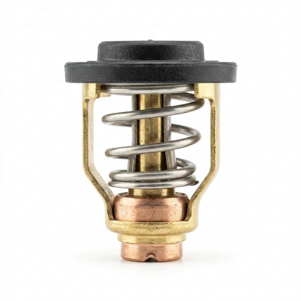 Termostato Ref Yamaha 67F-12411-01