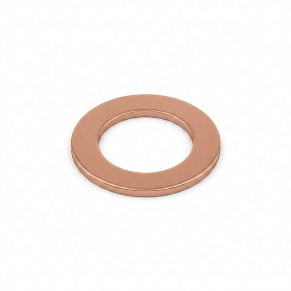 Rondella tappo olio mot. Ref Mercury 12-831246 Yamaha 90201-08818