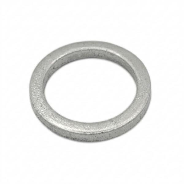 Rondella Ref PAFL115-04000003