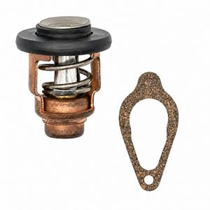 Termostato Ref Mercury 8M0139434