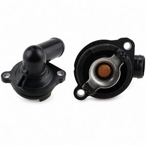 Termostato 60° Ref Mercury 8M0162139