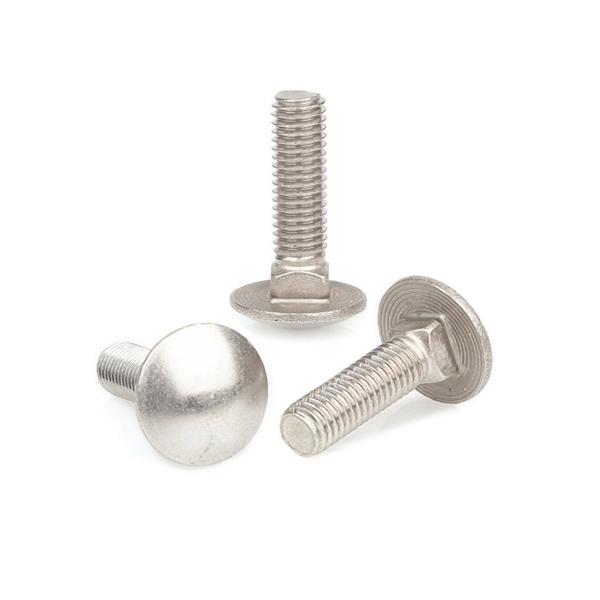 Perno a testa tonda Inox M8x50 MM