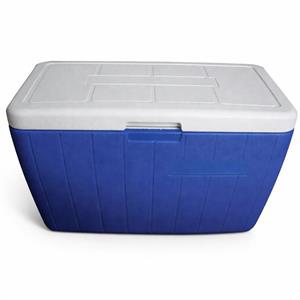 Ghiacciaia portatile Seacool 48lt