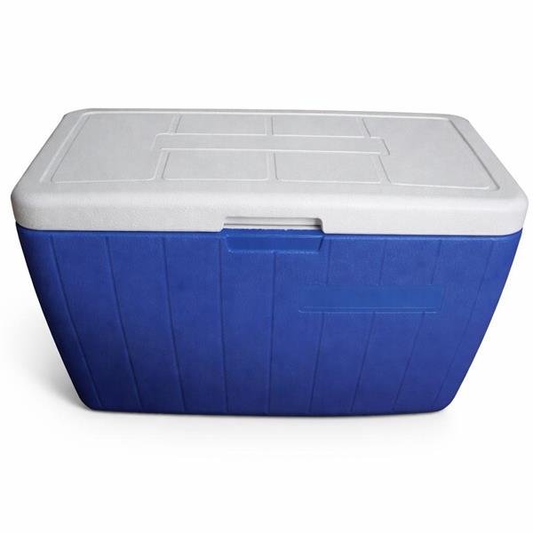 Ghiacciaia portatile Seacool 48lt
