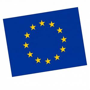 Bandiera Ue 50x75cm